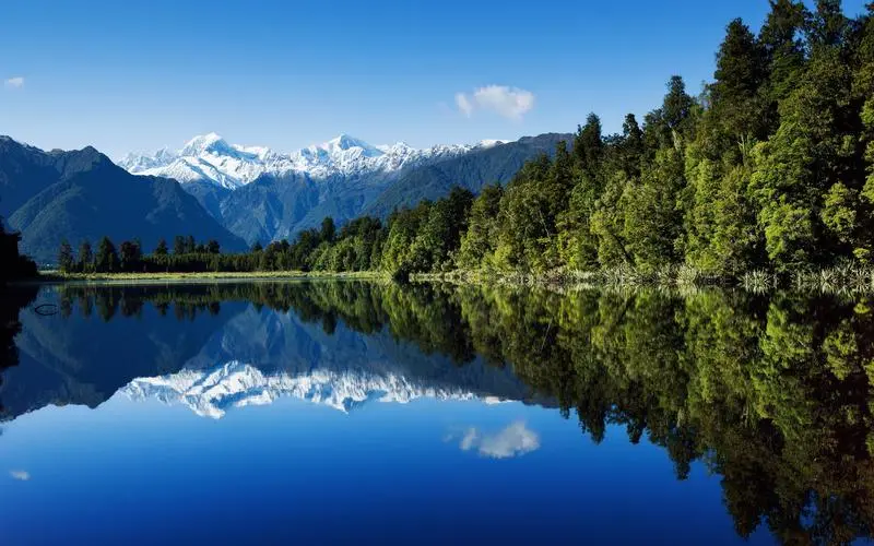 高性能智慧全自动